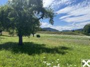 Ruhiges Idyll am Waldrand