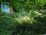 Ruhiges Kleingartengrundstück am Waldrand