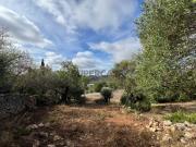 Ruína com Vista Montanha