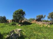 Ruina nos Matos Brancos