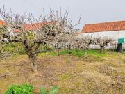 Ruína para recuperar com terreno de 1.050 m² poço e...