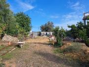 Ruína T5 com projeto aprovado em Boliqueime, Loulé, Patã...