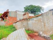 Ruína | Vila Nova da Barquinha