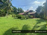 Rumah Kampung dan Kebun Durian