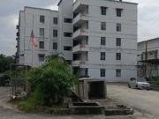 Rumah Pangsa Tropika