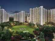 Runwal Gardens Phase 4 Bldg No 31 32,Mhatre Nagar 1 BHK...