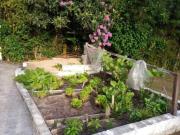 Rurais à venda em Ibiúna