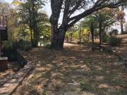 Fazenda / Sítios / Chácaras com 8 quartos à venda em...