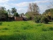 Rurais à venda em Noemia