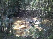 Rurais à venda em São João da Boa Vista