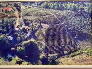 Rurais à venda em Serra Negra