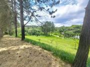 Rurais à venda em Sorocamirim