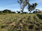 Fazenda / Sítios / Chácaras à venda em Taquaraçu De...