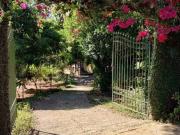 Fazenda / Sítios / Chácaras com 3 quartos à venda em...