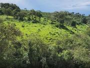 Fazenda / Sítios / Chácaras com 3 quartos à venda em São...