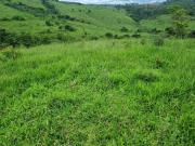 Fazenda / Sítios / Chácaras à venda em Jacutinga, no...