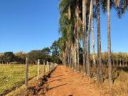 Rurais à venda na Zona Rural