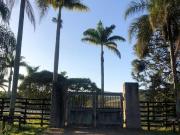 Rurais à venda no Bairro dos Pires