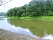 Rurais à venda no Centro