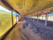 Rurais à venda no Centro