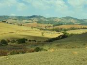 Fazenda / Sítios / Chácaras com 3 quartos à venda em São...