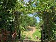 Imoveis no Jardim Vitória