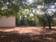 Rurais à venda no Parque da Figueira