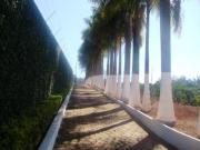 RURAL LOTEAMENTO SÃO TOMÉ