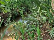 Rural para Venda em Santa Isabel/SP 4 Dorm. 12000 m2...