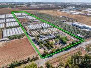 A FANTASTIC HORTICULTURE PURCHASE!