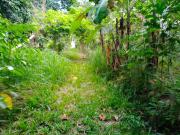 Rush: 2 Hectares Residential Lot for Sale @Php6000 per...