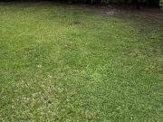 RUSH! AYALA ALABANG LOT FOR SALE