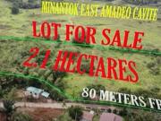 Rush! For Sale 21,000 sqm Farm Lot in Minantok East, Amadeo Rush! For Sale 21,000 sqm Farm Lot in Minantok East, Amadeo