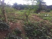 Rush For Sale, 796 sqm Vacant Lot in Town and Country...