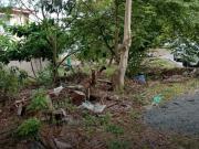 Rush For Sale Lot in Vista Real Classica Subdivision