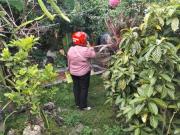 Rush Lot for sale in Guadalupe, Cebu City