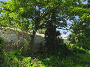 RUSH RUSH SALE COMMERCIAL LOT in Kauswagan, Cagayan de...