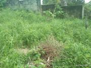 Rush Sale! 200 sq.m Residential Lot for Sale in White... Rush Sale! 200 sq.m Residential Lot for Sale in White...
