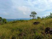 RUSH! SALE FARMLOT, SALAYSAY MAHALYANG SPOTCASH 550 PHP