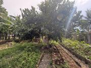 RUSH SALE ‼️ HOUSE AND LOT FOR SALE located in DAUIS,...