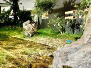 RUSH SALE RESIDENTIAL LOT FOR SALE IN BF HOMES,...