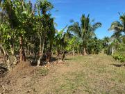 BEST PRICE AMADEO. TITLED Residential 1016sqm Lot,...