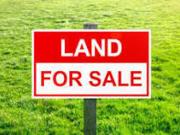 Rush Sale vacant lot BF Homes Phase 4