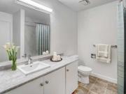 Russet Court 3 Bedroom Apartment for Rent at 2631 38 St...