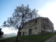 Rustici e Casali in vendita a Montelparo