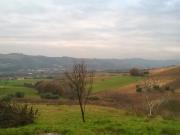 Rustici e Casali in vendita a Moresco