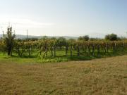 Rustici e Casali in vendita a Mosciano Sant'Angelo