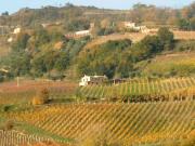 Rustici e Casali in vendita a Ripatransone