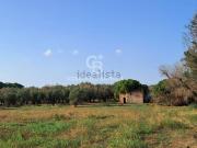 Rustici e casali in vendita di 100 m²
