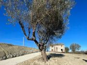 Rustici e casali in vendita di 100 m²